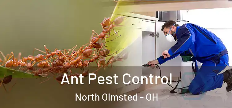  Ant Pest Control North Olmsted - OH