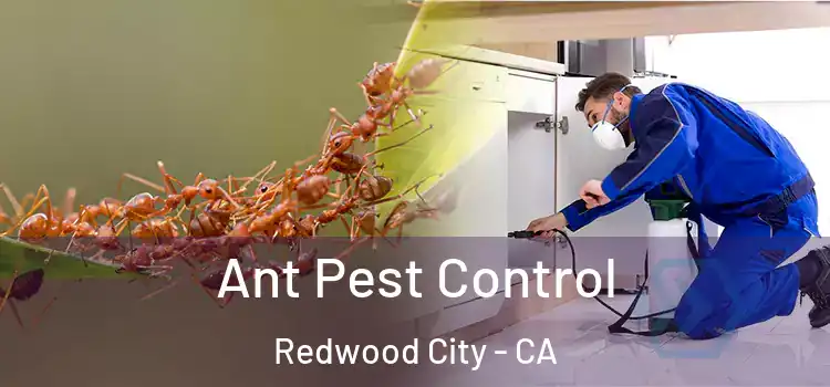  Ant Pest Control Redwood City - CA