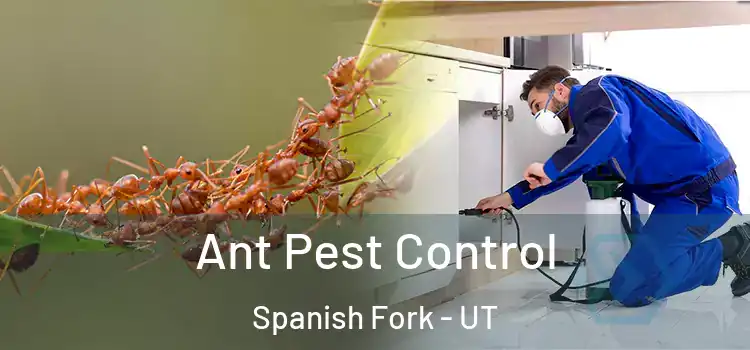  Ant Pest Control Spanish Fork - UT