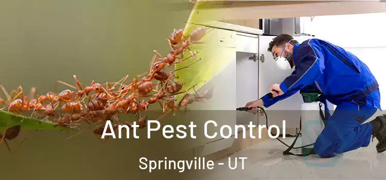  Ant Pest Control Springville - UT