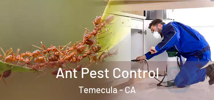  Ant Pest Control Temecula - CA