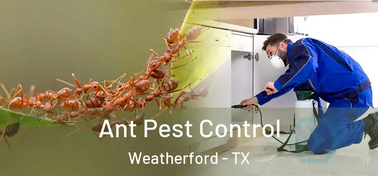  Ant Pest Control Weatherford - TX