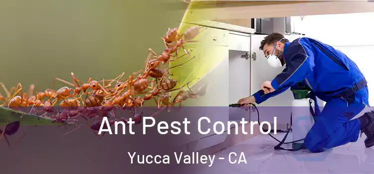 Ant Pest Control Yucca Valley - CA
