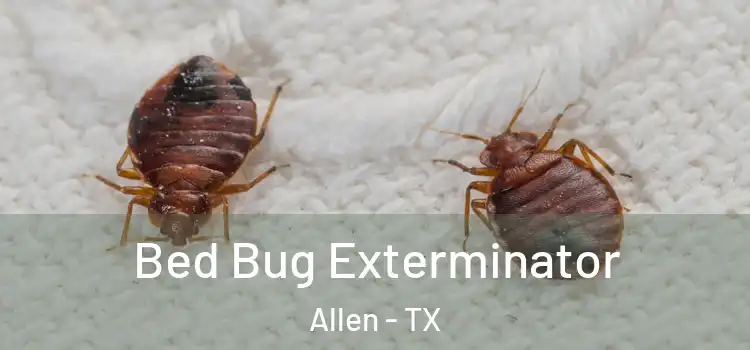 Bed Bug Exterminator Allen - TX