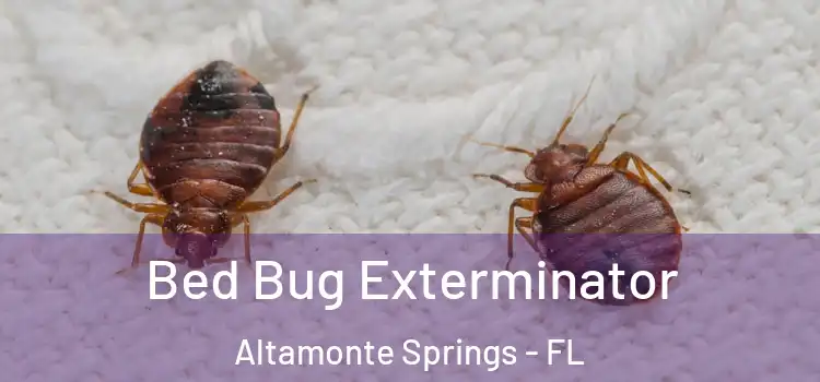  Bed Bug Exterminator Altamonte Springs - FL