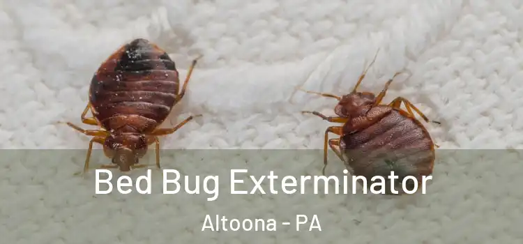  Bed Bug Exterminator Altoona - PA