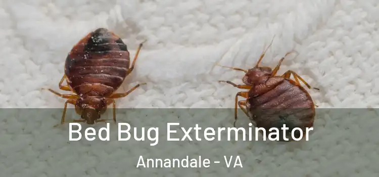  Bed Bug Exterminator Annandale - VA