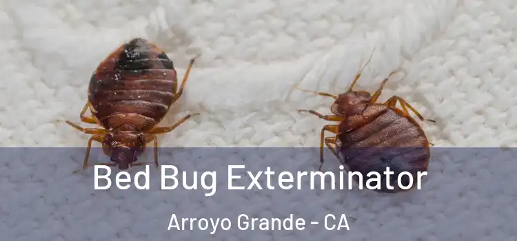 Bed Bug Exterminator Arroyo Grande - CA