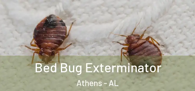  Bed Bug Exterminator Athens - AL