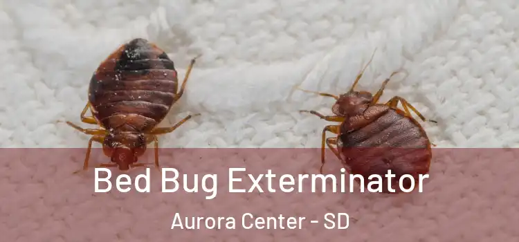  Bed Bug Exterminator Aurora Center - SD