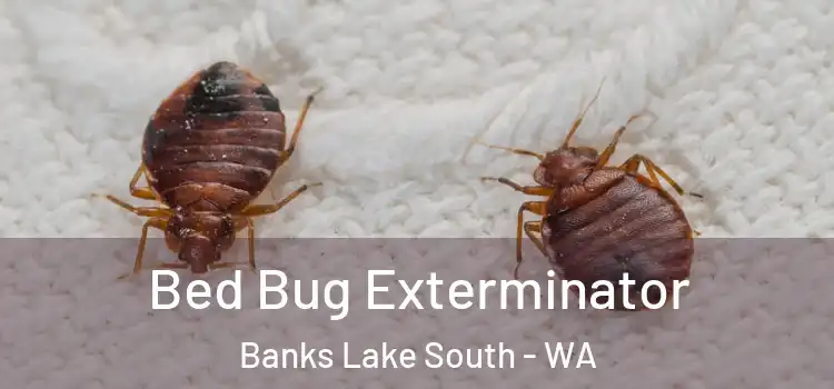  Bed Bug Exterminator Banks Lake South - WA
