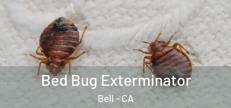 Bed Bug Exterminator Bell - CA