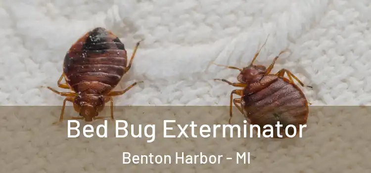 Bed Bug Exterminator Benton Harbor - MI