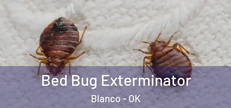  Bed Bug Exterminator Blanco - OK