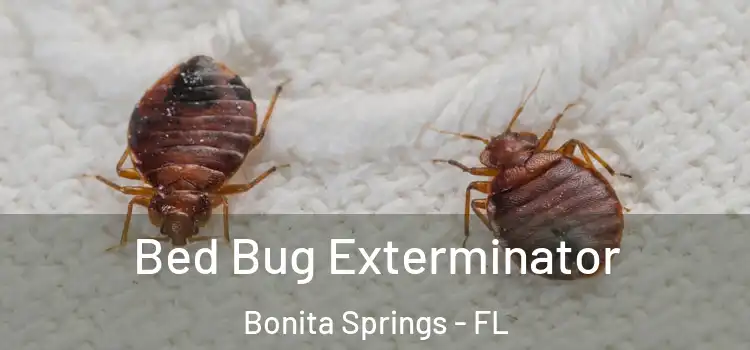  Bed Bug Exterminator Bonita Springs - FL