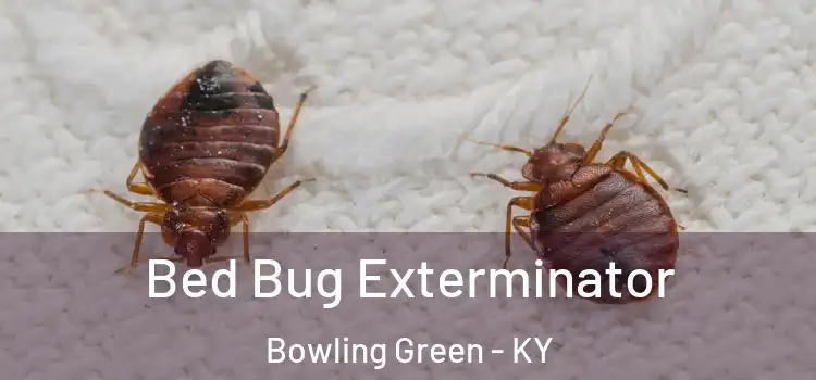  Bed Bug Exterminator Bowling Green - KY