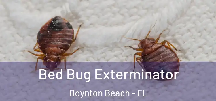  Bed Bug Exterminator Boynton Beach - FL