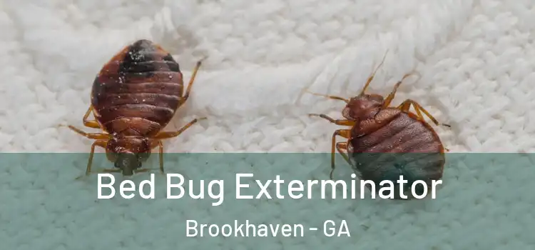  Bed Bug Exterminator Brookhaven - GA