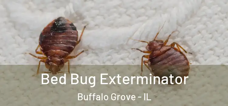Bed Bug Exterminator Buffalo Grove - IL