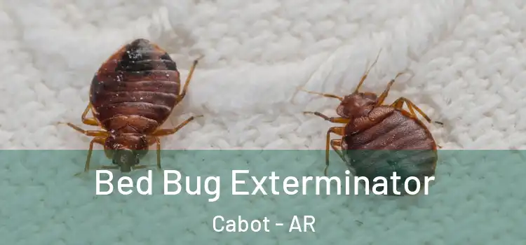 Bed Bug Exterminator Cabot - AR