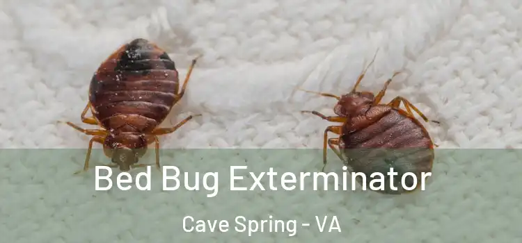  Bed Bug Exterminator Cave Spring - VA