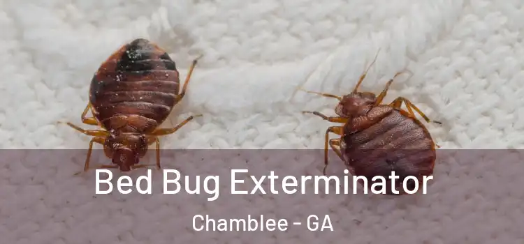  Bed Bug Exterminator Chamblee - GA