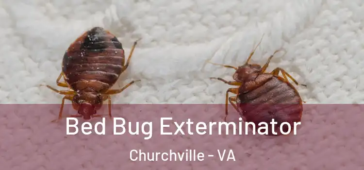  Bed Bug Exterminator Churchville - VA