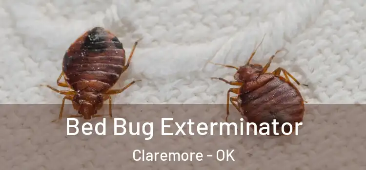  Bed Bug Exterminator Claremore - OK