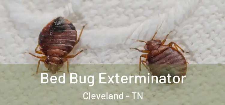  Bed Bug Exterminator Cleveland - TN