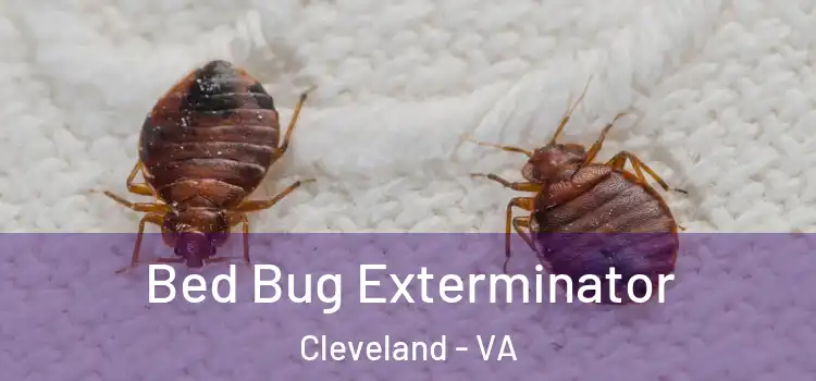  Bed Bug Exterminator Cleveland - VA