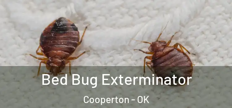  Bed Bug Exterminator Cooperton - OK