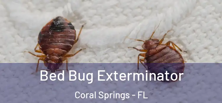 Bed Bug Exterminator Coral Springs - FL