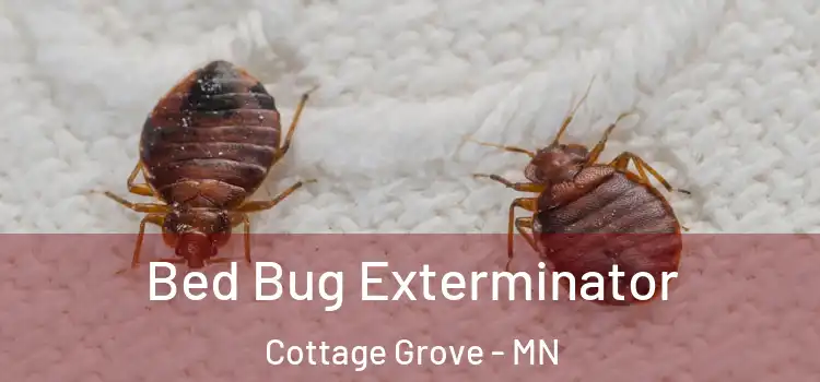  Bed Bug Exterminator Cottage Grove - MN