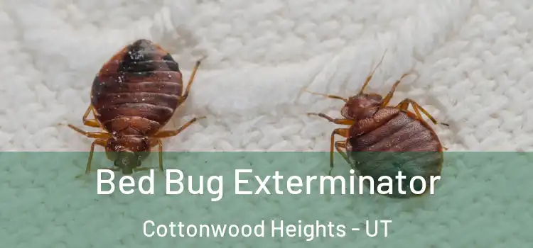  Bed Bug Exterminator Cottonwood Heights - UT