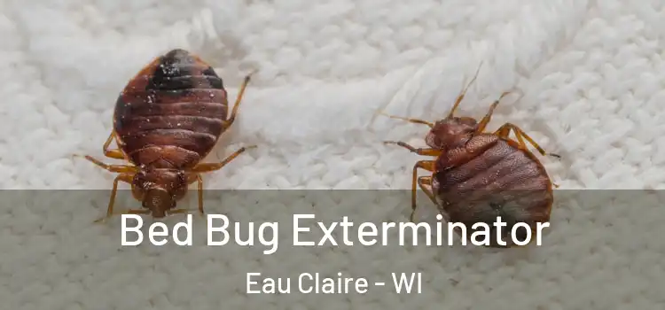  Bed Bug Exterminator Eau Claire - WI