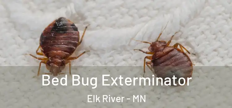 Bed Bug Exterminator Elk River - MN