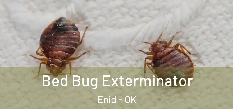  Bed Bug Exterminator Enid - OK