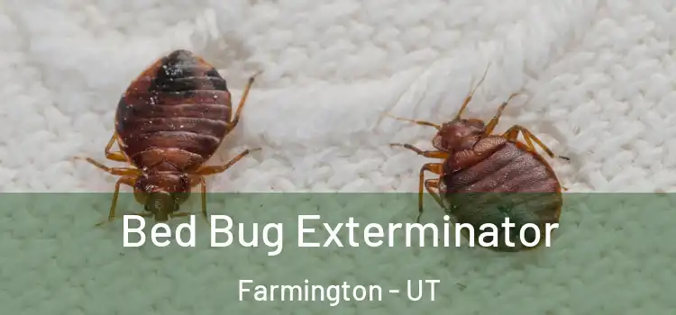  Bed Bug Exterminator Farmington - UT