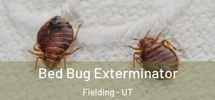  Bed Bug Exterminator Fielding - UT