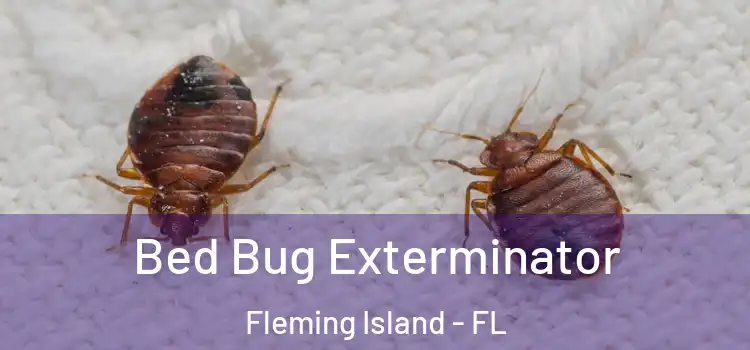  Bed Bug Exterminator Fleming Island - FL
