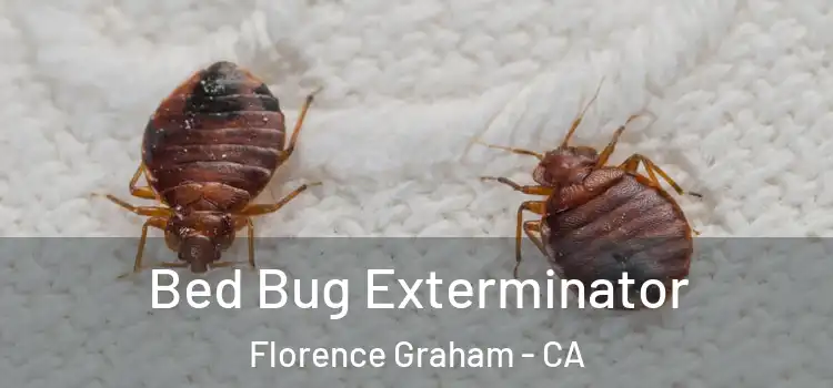  Bed Bug Exterminator Florence Graham - CA