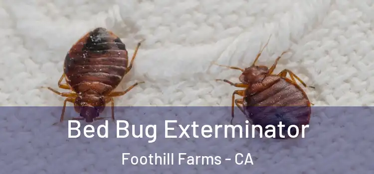 Bed Bug Exterminator Foothill Farms - CA