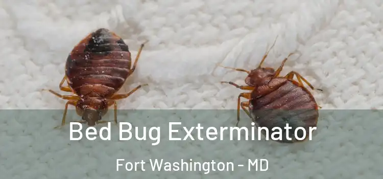  Bed Bug Exterminator Fort Washington - MD