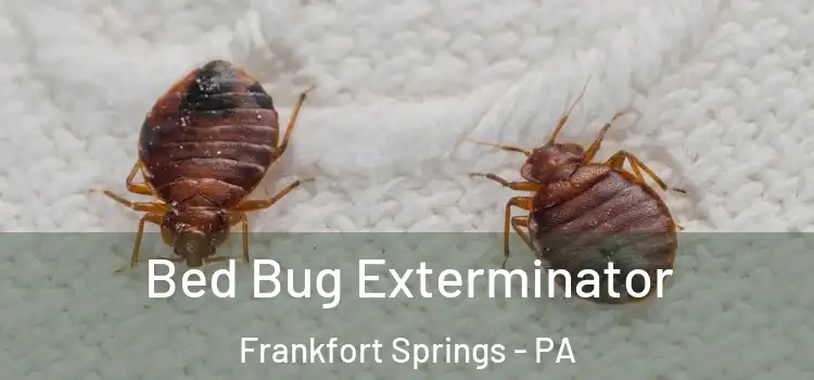 Bed Bug Exterminator Frankfort Springs - PA