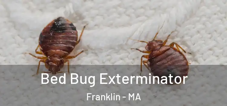  Bed Bug Exterminator Franklin - MA
