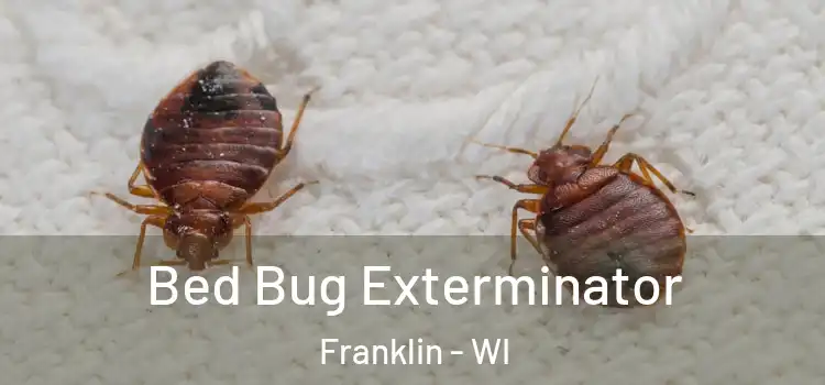  Bed Bug Exterminator Franklin - WI