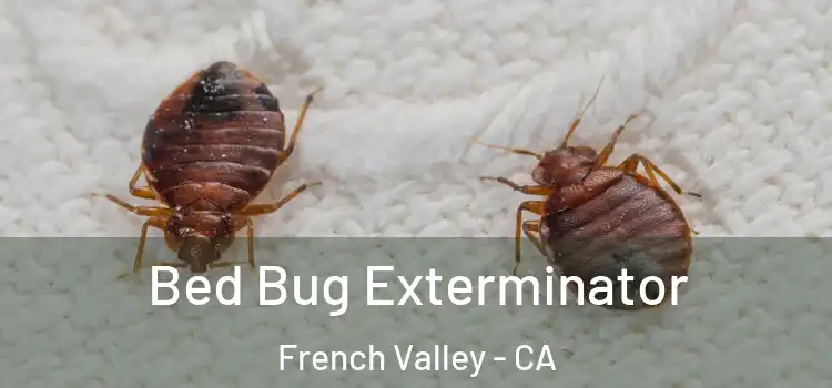  Bed Bug Exterminator French Valley - CA