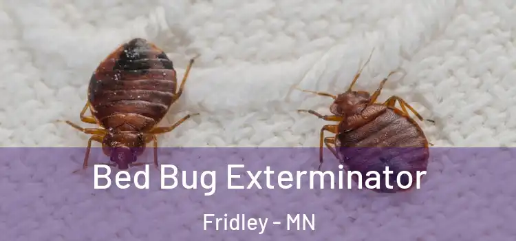  Bed Bug Exterminator Fridley - MN