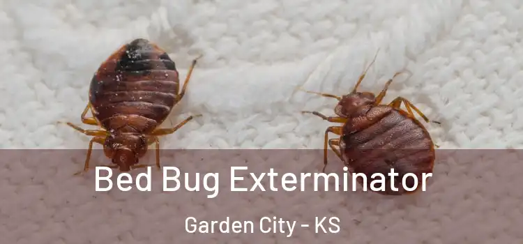  Bed Bug Exterminator Garden City - KS