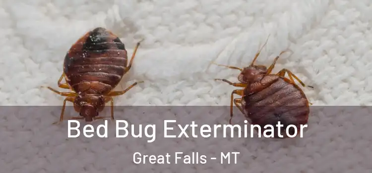  Bed Bug Exterminator Great Falls - MT
